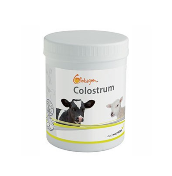 Globigen Colostrum is een biestvervanger of biestverrijker voor kalveren of lammeren. Het is een gevriesdroogd colostrumpoeder. IBR vrij!