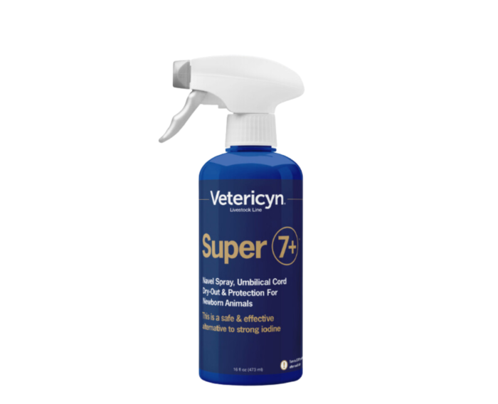 Met Vetericyn navelspray desinfecteert u de navel van het pasgeboren kalf snel en efficiënt. Met de spraynozzle kunt u het product op de navel spray.