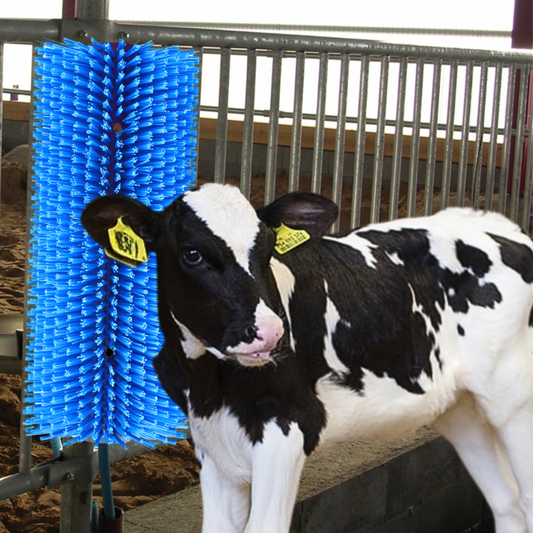 Kalfsupport halfronde schuurborstel | 450 x 150mm