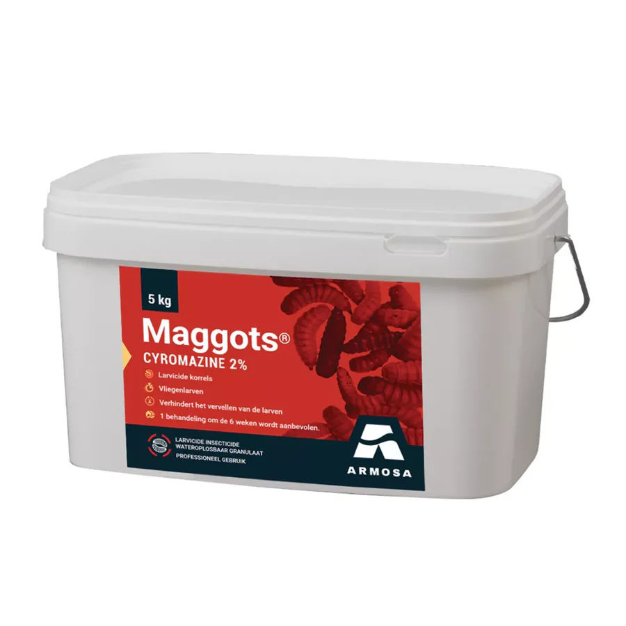 859352_maggots_5kg